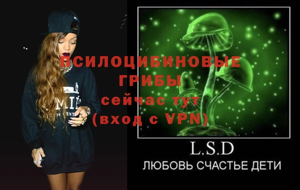 ПСИЛОЦИБИНОВЫЕ ГРИБЫ Вязьма