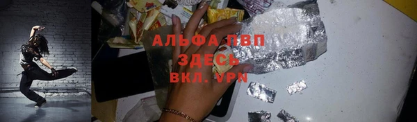 ПСИЛОЦИБИНОВЫЕ ГРИБЫ Вязьма