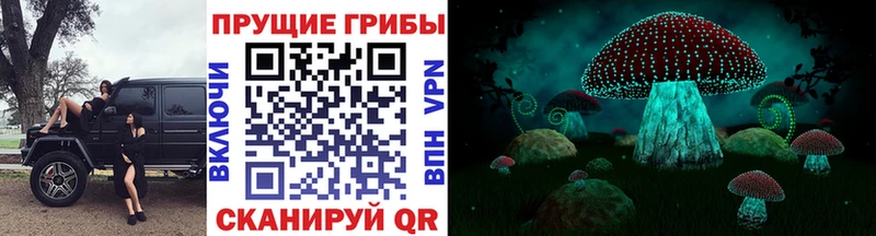 Галлюциногенные грибы Magic Shrooms  Купить закладки  Стерлитамак 